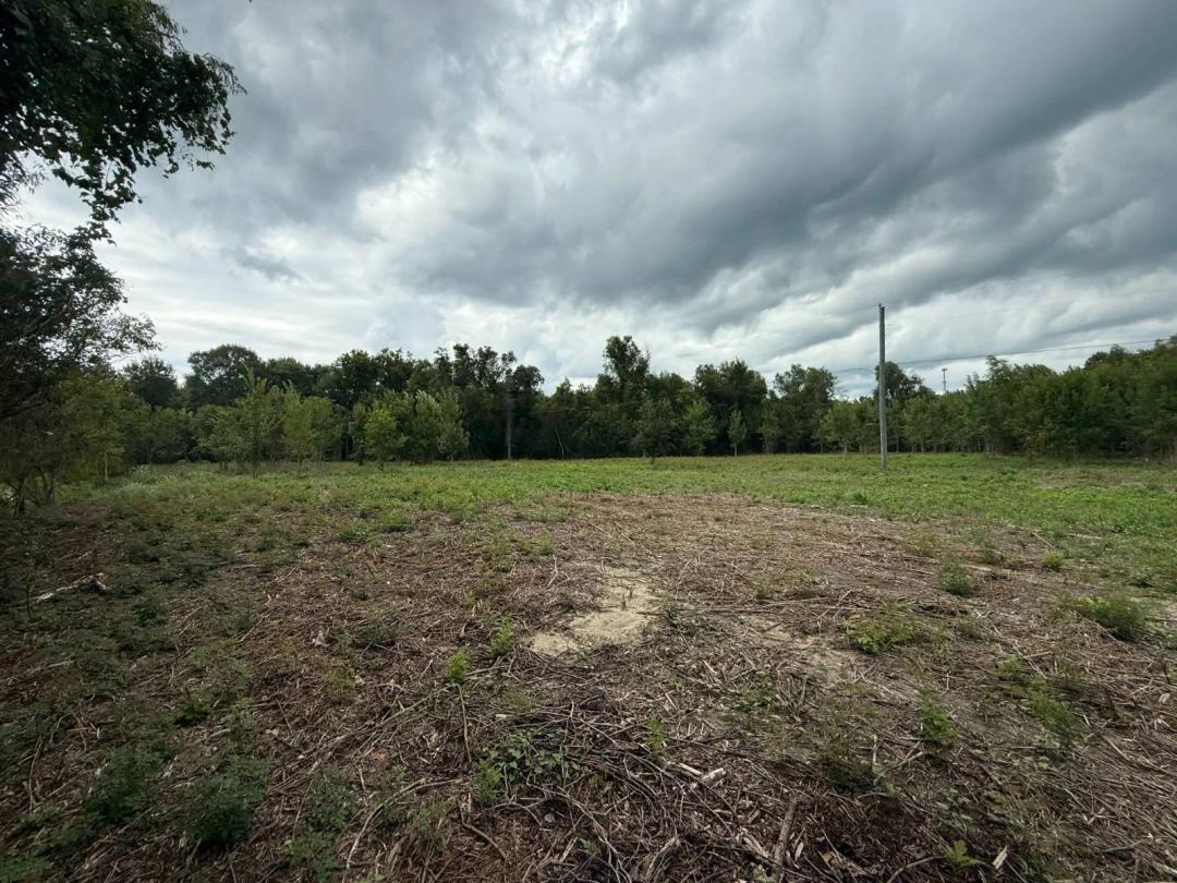 Saint Martinville Land For Sale