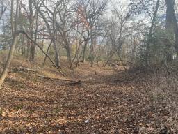 IMG_9469 (1)