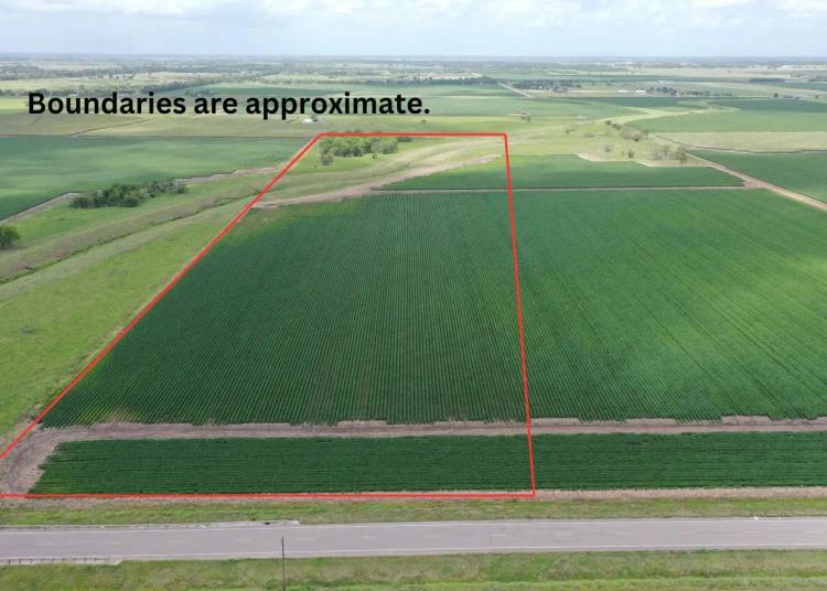 000 FM 361 Road - 30.229 Acs Richmond 77469