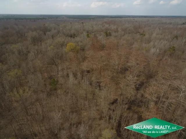 40 ac - Bottomland Hunting Tract