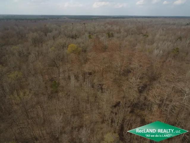 40 ac - Bottomland Hunting Tract