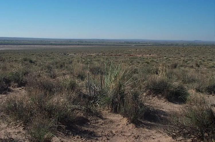 Escape Corona Camp * RV * Build in the Arizona desert