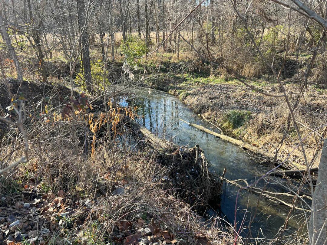 Pike County, Illinois 25 Acres For Sale