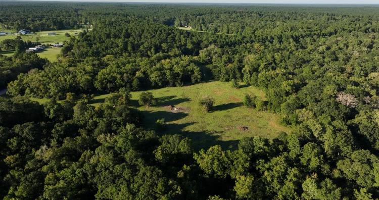  Calfee Ranch 175