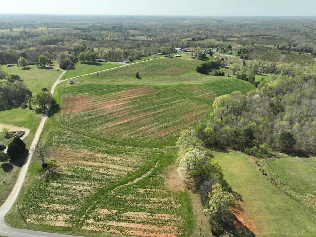 Dairy Lane Farm
