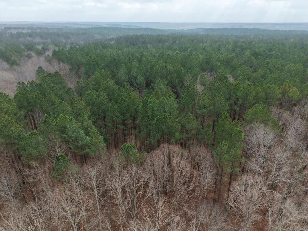 46 Acres in Benton County, TN 