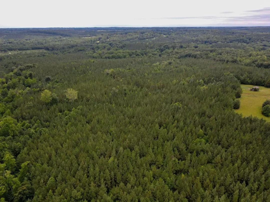15.42± Acres in Vernon Hill – Halifax County, VA