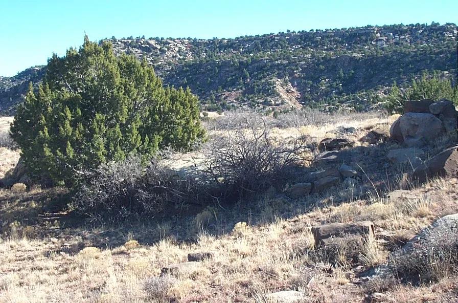 5 Acres Near Conchas Lake—Quiet & Remote Bordering Parkland
