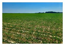 Land.com_Images12