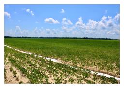 Land.com_Images13