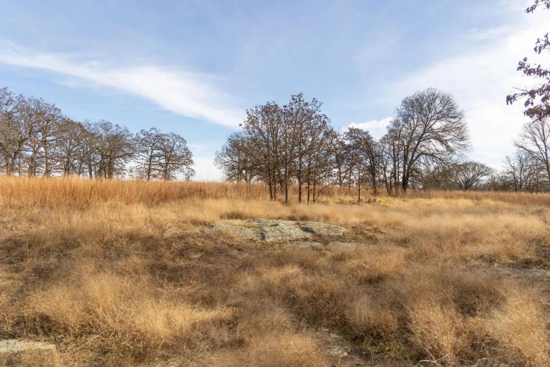Chambers 240 Acres