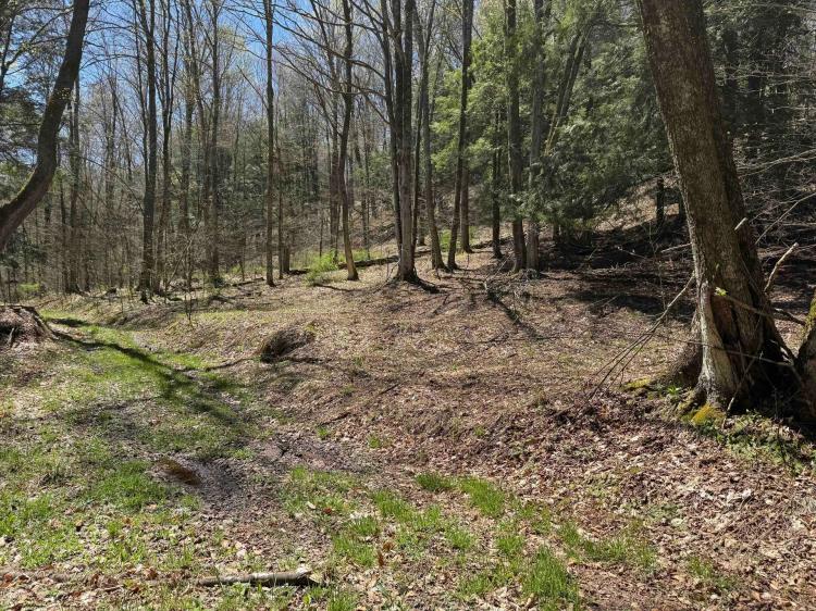 30 acres Hunting Land and Recreational Land in Portville NY Little Loop Rd