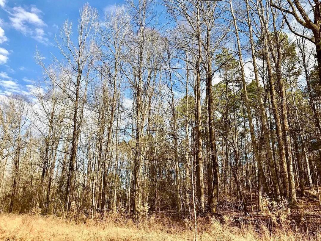 GRAND VALLEY LAKES! Beautiful 0.69 ac building lot in gated community