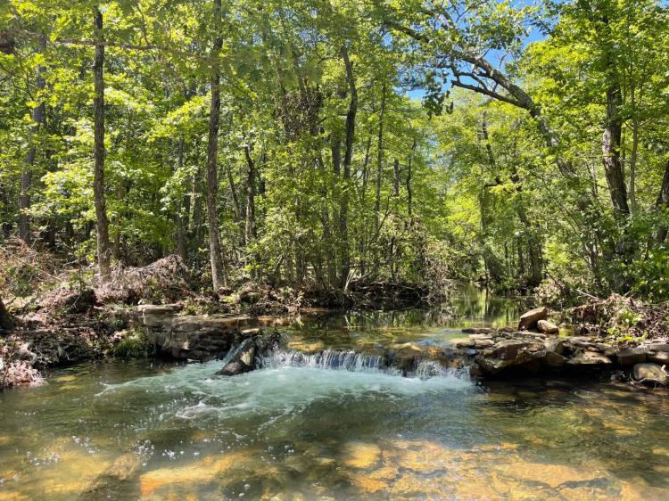 Clear Creek Mountain Paradise
