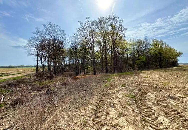 24 Acres in Sunflower County in Ruleville, MS