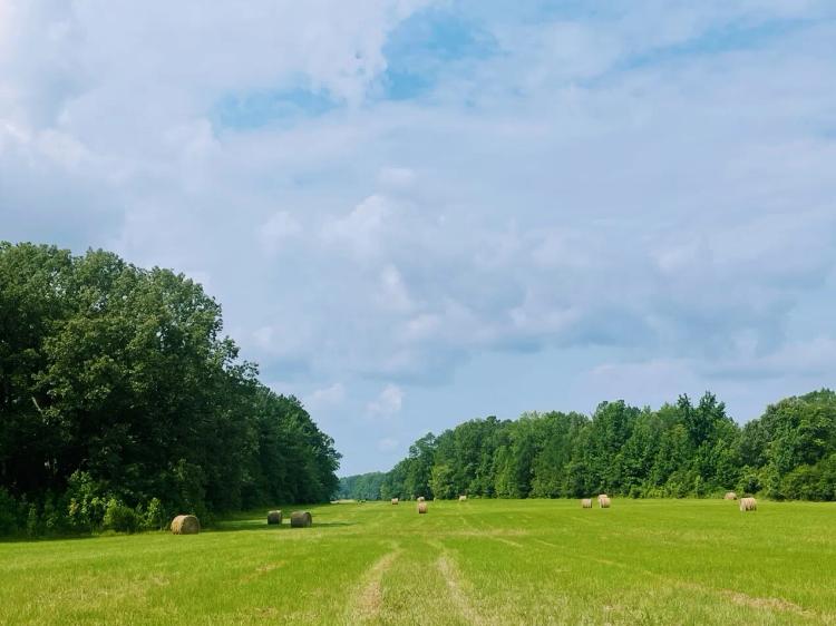 8.37 Acres at 0 Shields Rd &amp; Natchez Trace Parkway