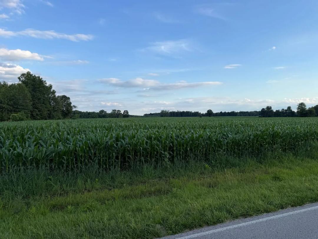 142 acres - Mt Orab Brown County