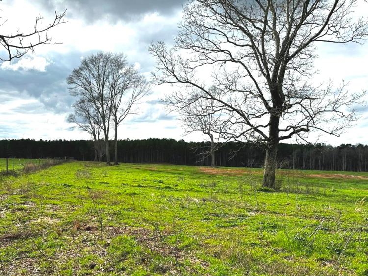 484.00 Acres at 275 Sam Graham Road