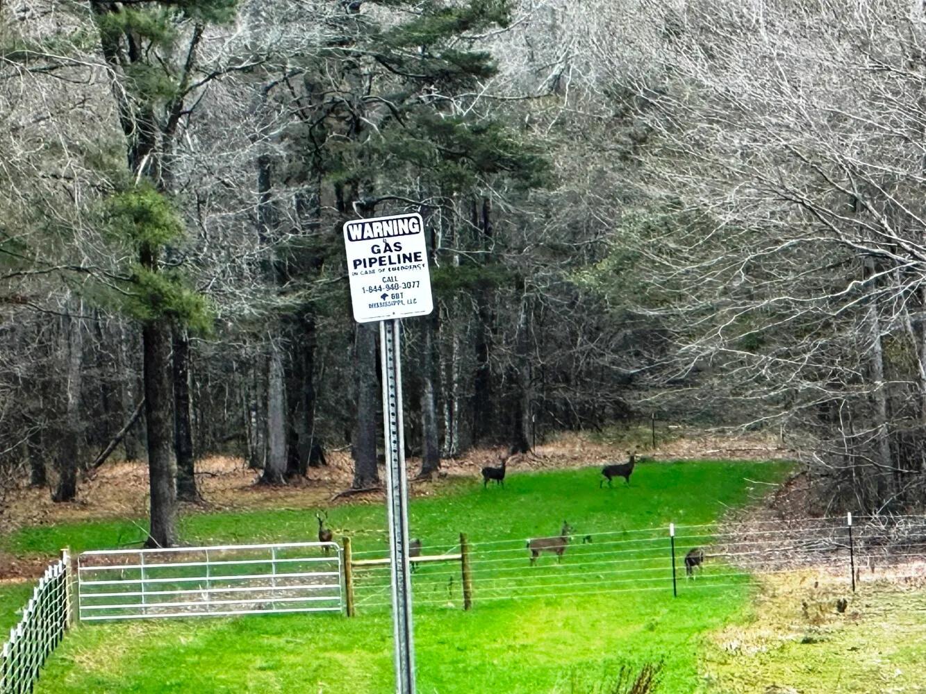 40079586-6