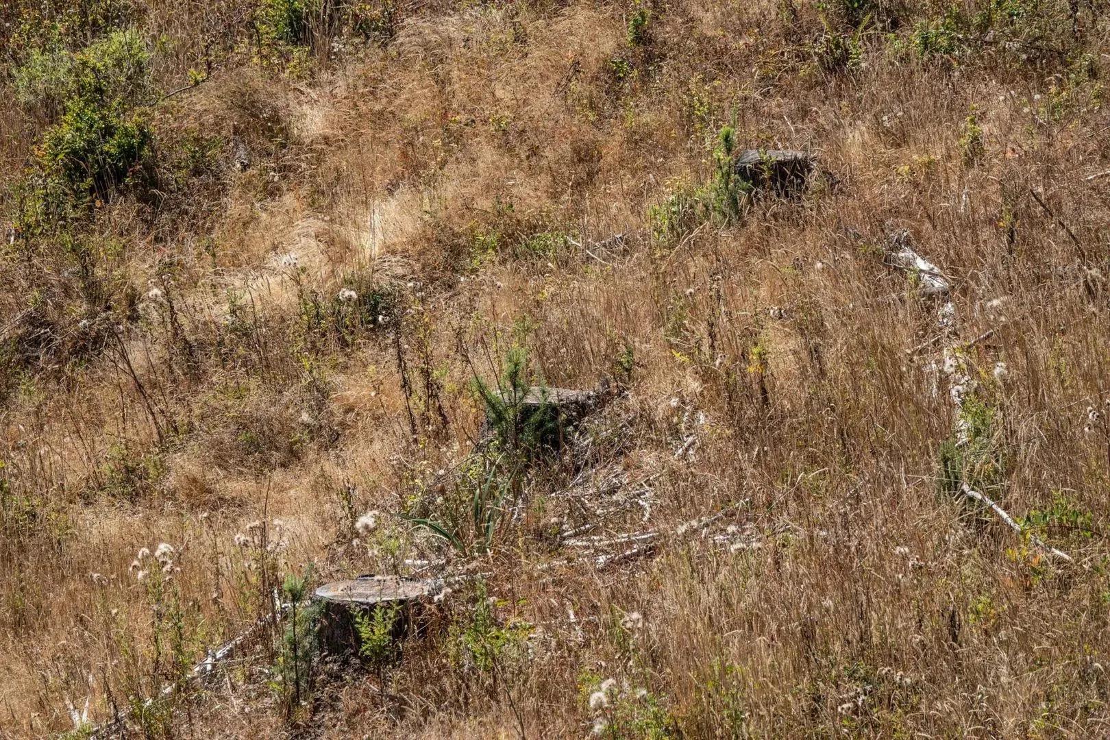 40091293-20