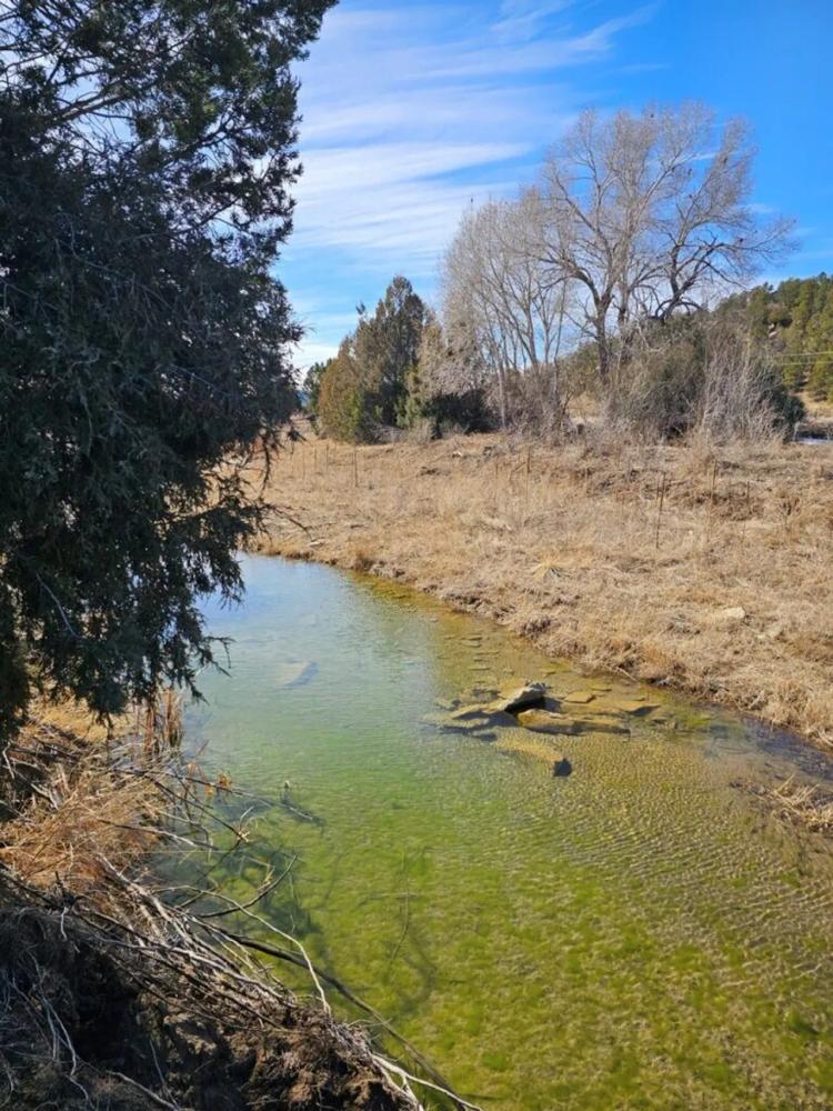 # 25 River Ranch Long Canyon