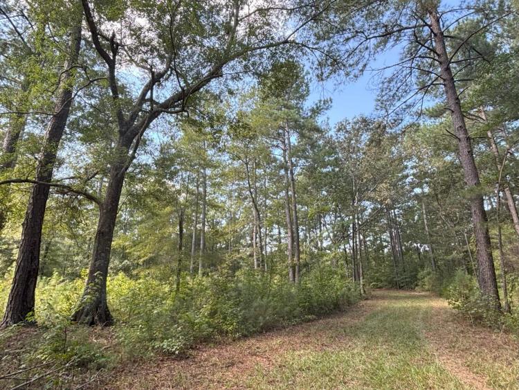 210.00 Acres at 0 Shortcut Road