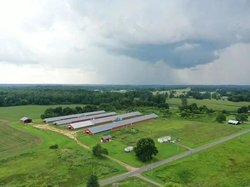 Fox Hollow Farm – Four House Broiler Farm in Dekalb County Alabama