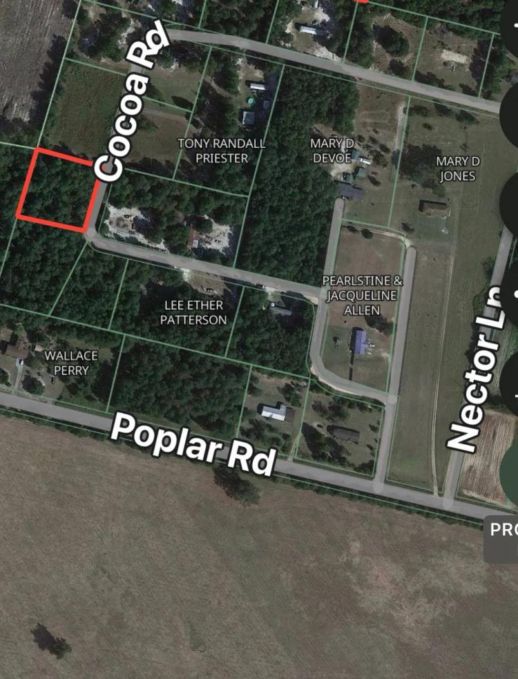1.00 Acres at 888 COCOA RD.