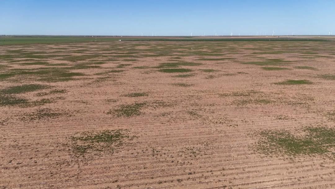 320± Acres - Swisher County