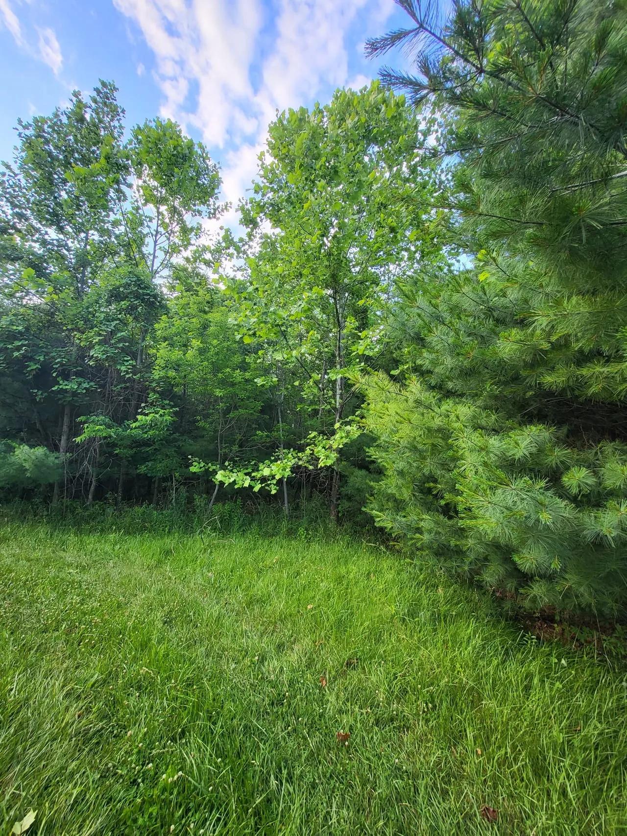 40226294-20