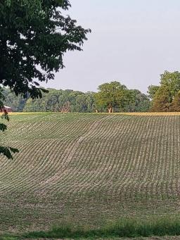 40226294-64