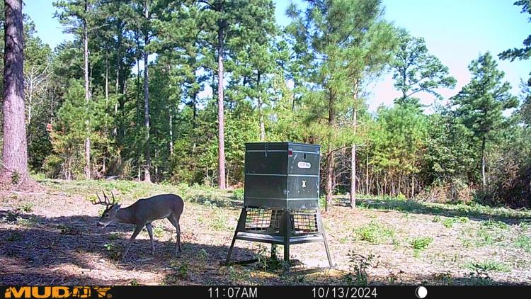 146± Acres PR 8079, Ben Wheeler