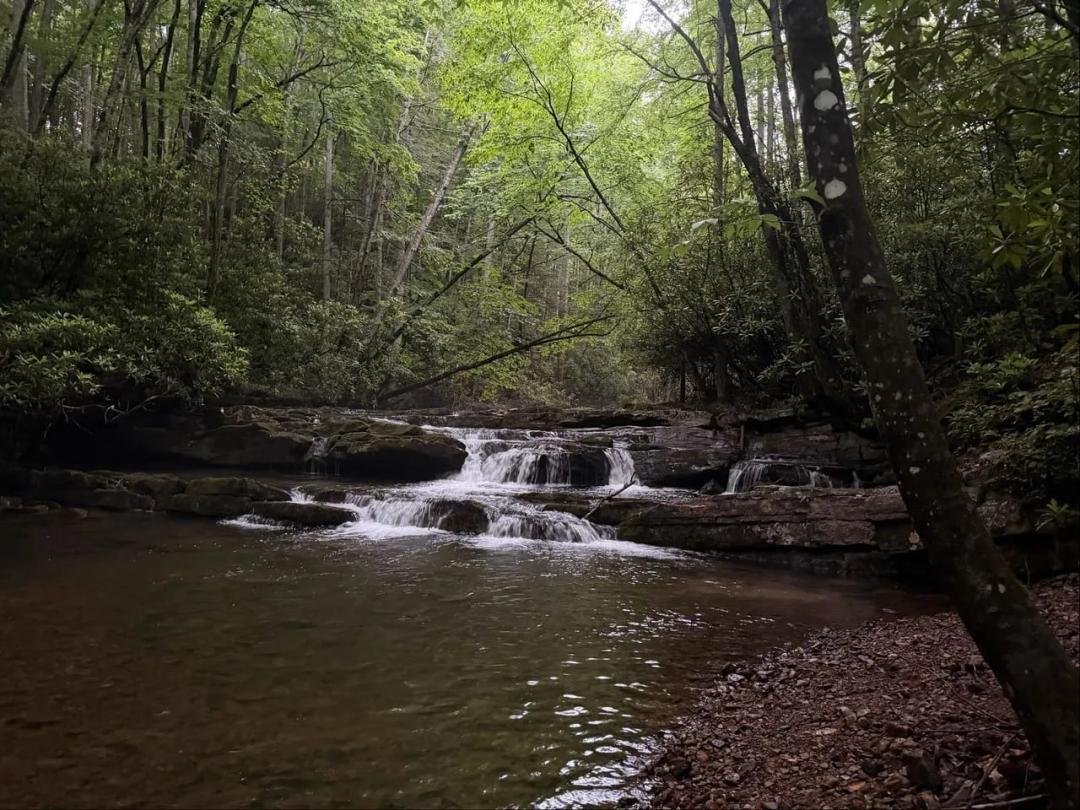 7.27 Acres at  Tdb Cove Creek Rd