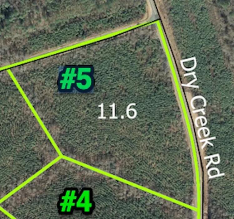 11.6 +/- Ac. Timberland Tract