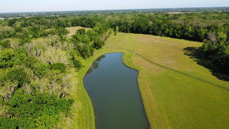 61.4 +/- acres Arnaudville, LA 70512
