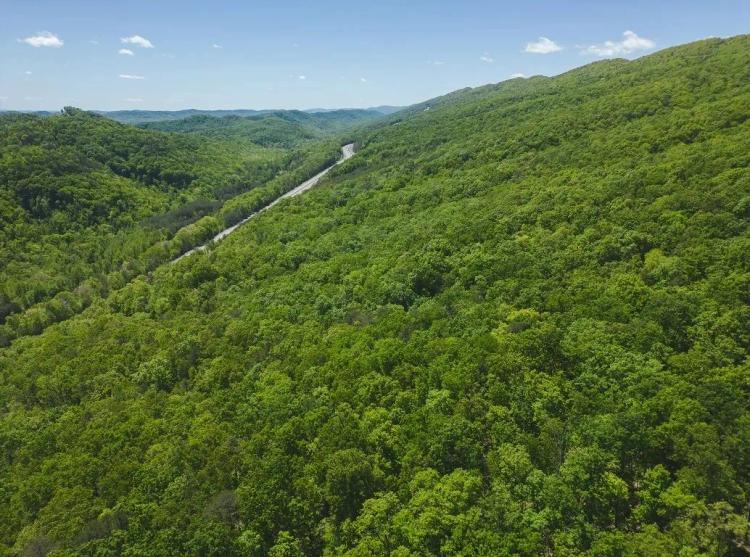 Serenity Unleashed: Embrace Nature's Bounty in East Tennessee's Hidden Gem