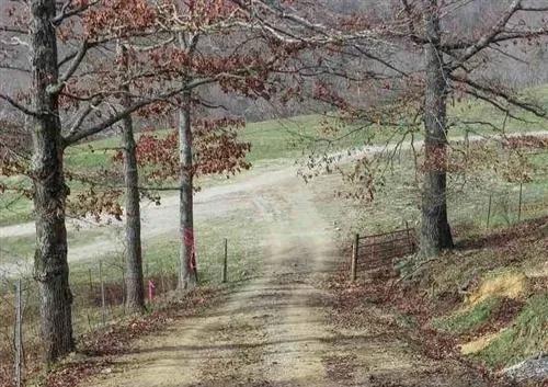 Kentucky, Laurel County, 10.31 Acre
