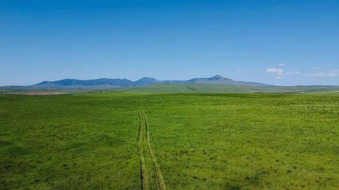 40278425-6