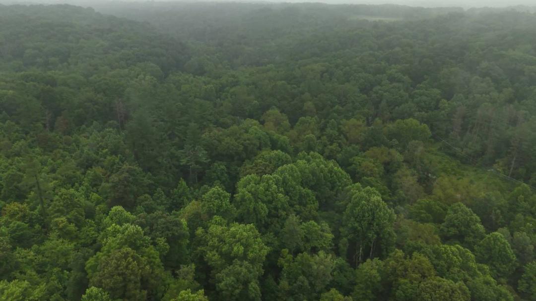 Hocking County Ohio Land for Sale