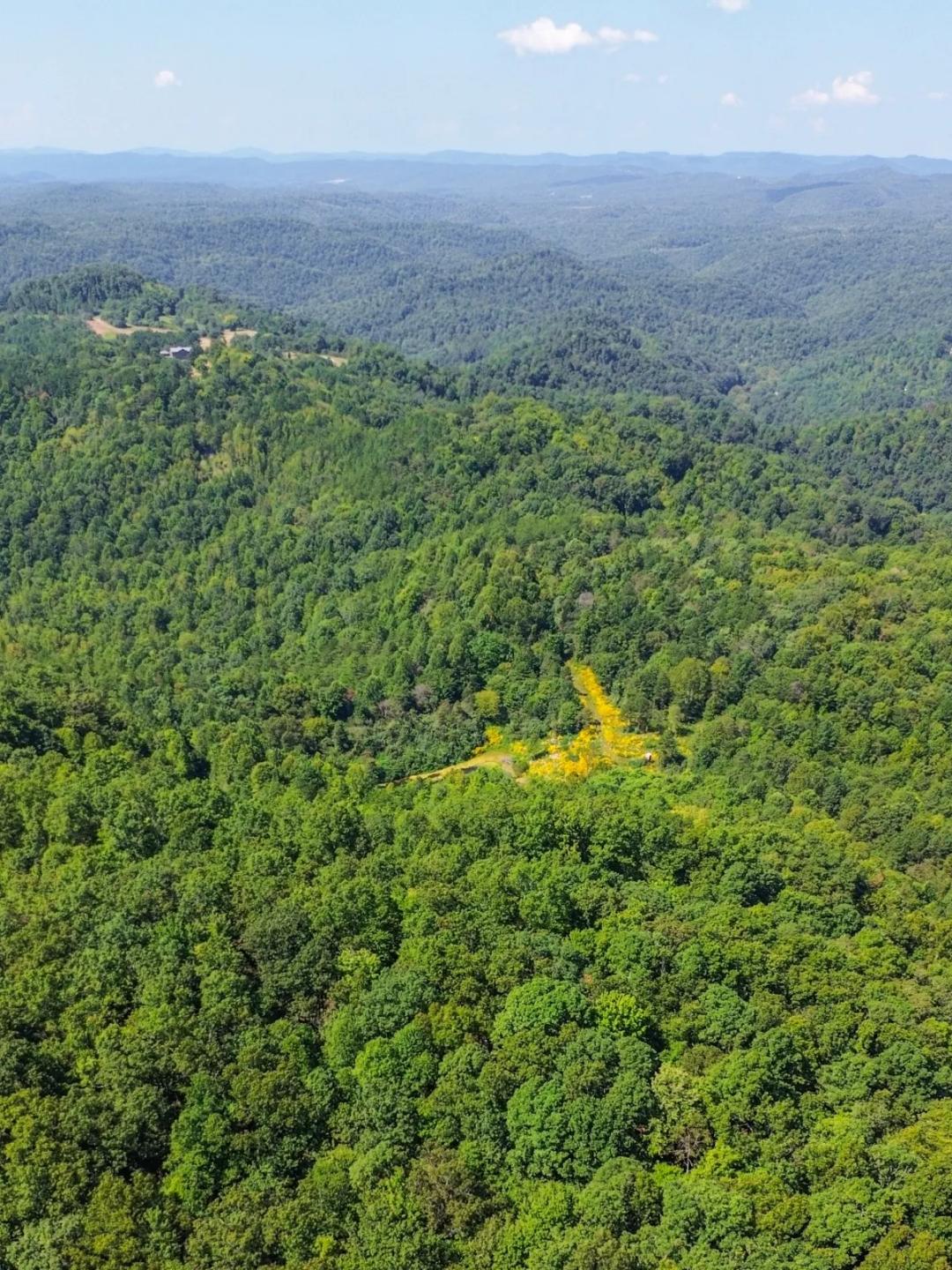 Tract 8 White Oak Mountain Recreational Property