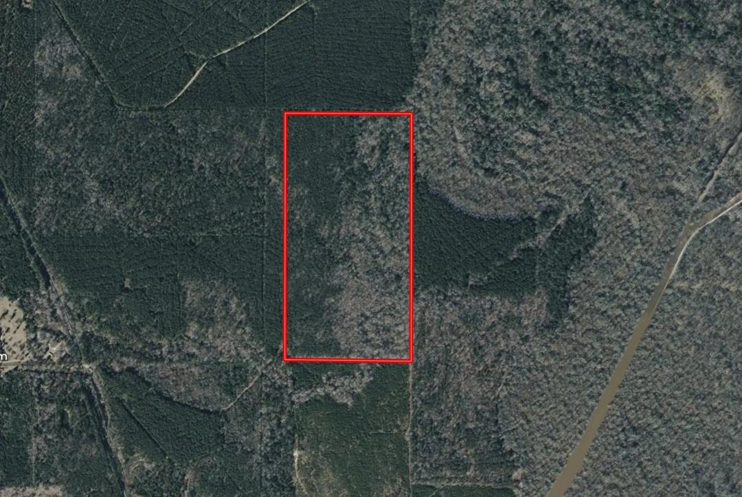 LA Grant 80 acres +/-