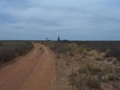 Texas, Cochran County, 1 Acre
