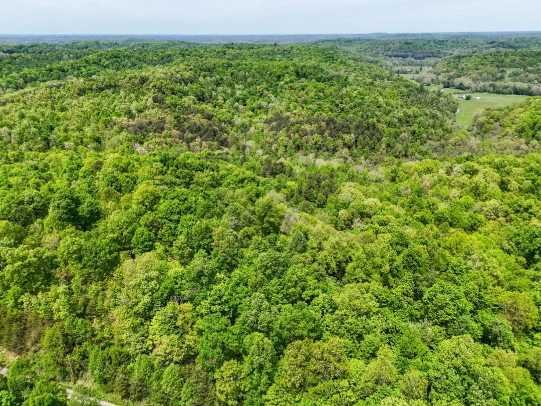 Kemper Hollow Hunting/Recreational Farm