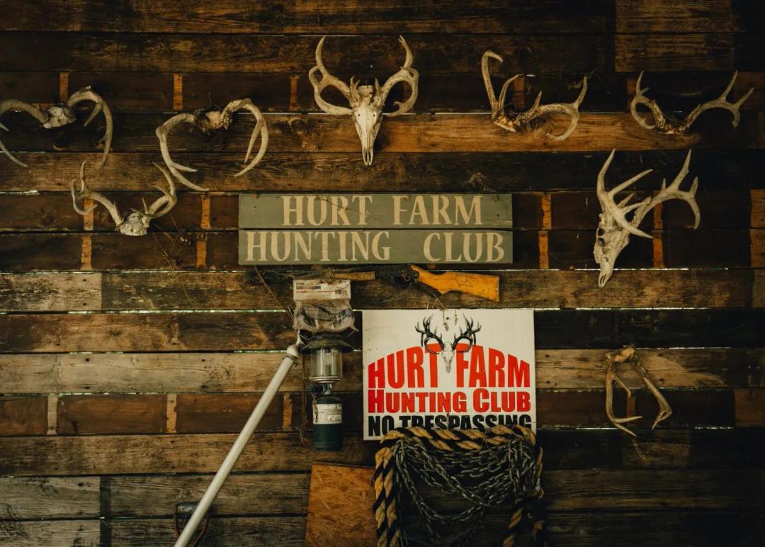 516.15 Acres in Pontotoc County, MS 