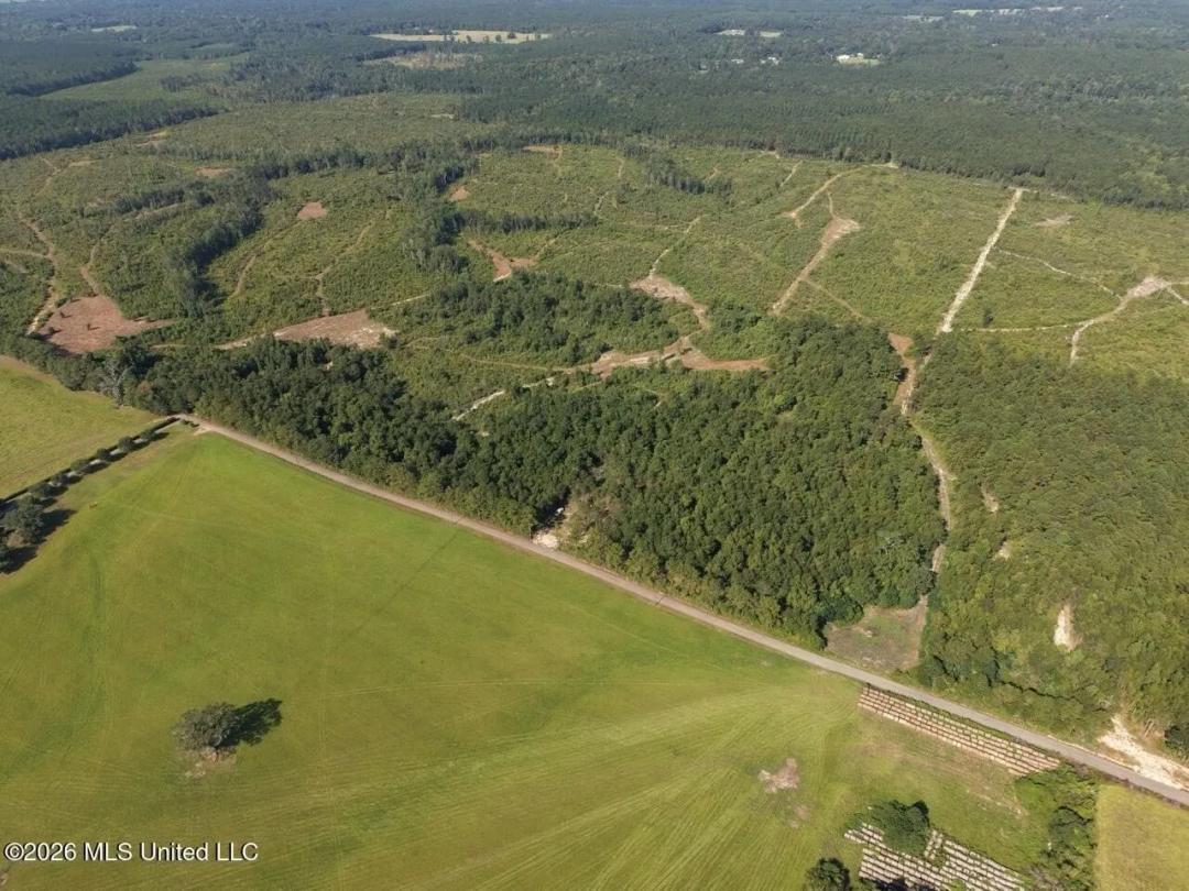 50± Acre Homesite & Hunting Land in Plainview, LA