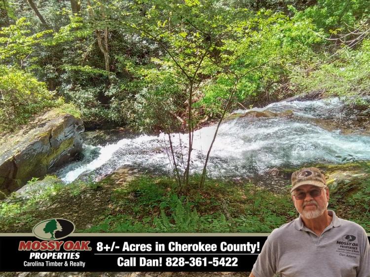 8.1+/- Acres with Monster Cascading Waterfall & USFS Frontage!