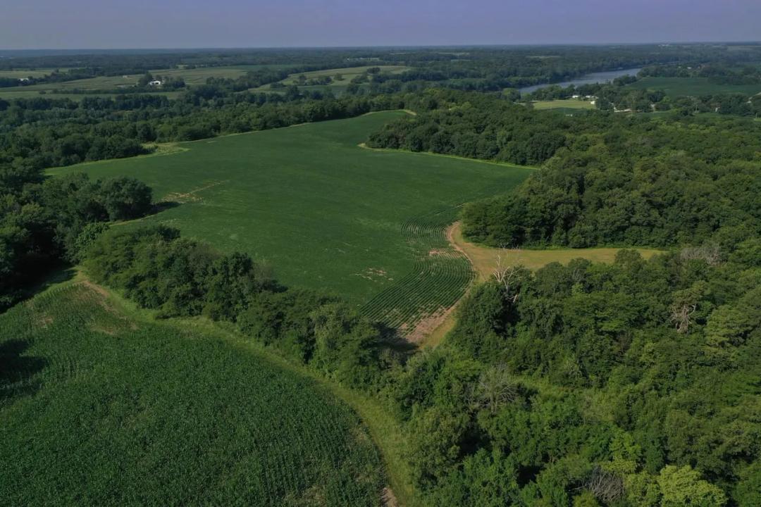 Prime Southeast Iowa Combination Tract – Income & Premier Hunting