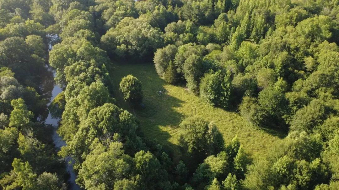 133 Acres of Trophy Hunting with Year-Round Water & Mountain Views
