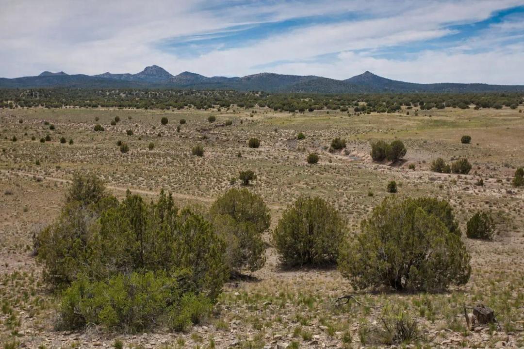 10 Acres, Apache, Arizona 201-26-002B