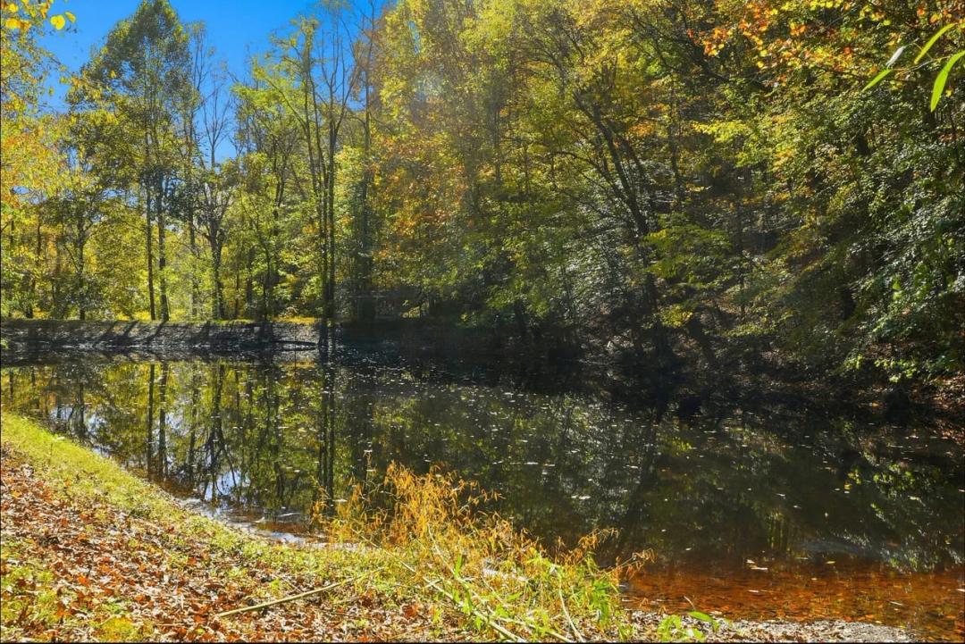 237± Acres • Recreational Haven 20 minutes from Tootsie's • Davidson County, TN
